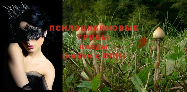 кокс Майский